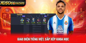 SBOBET Sport sảnh cá cược thể thao tại FEBET
